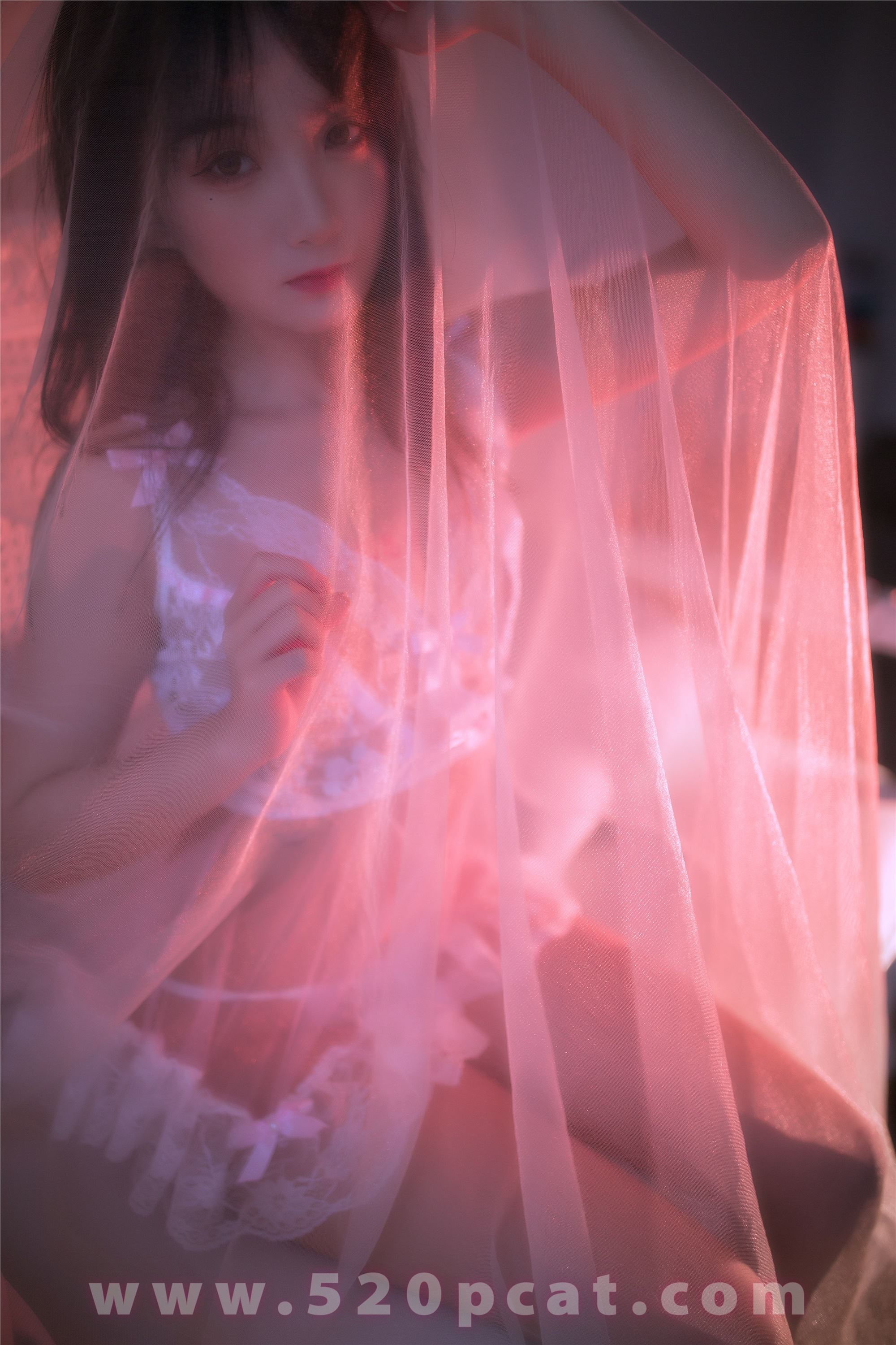 PDL潘多拉  2019.12.09 精品 NO.210